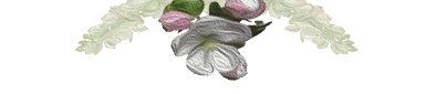 fleur_pommier_entete